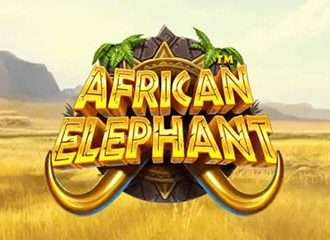 African Elephant
