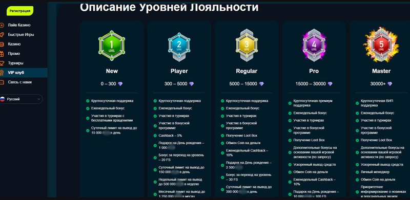 Программа лояльности